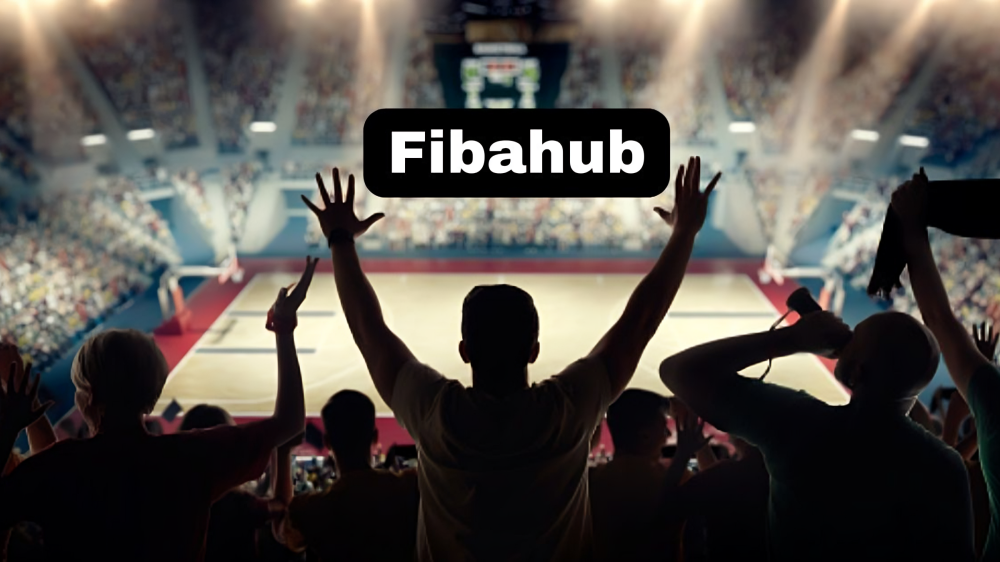 Fibahub: Revolutionizing Connectivity
